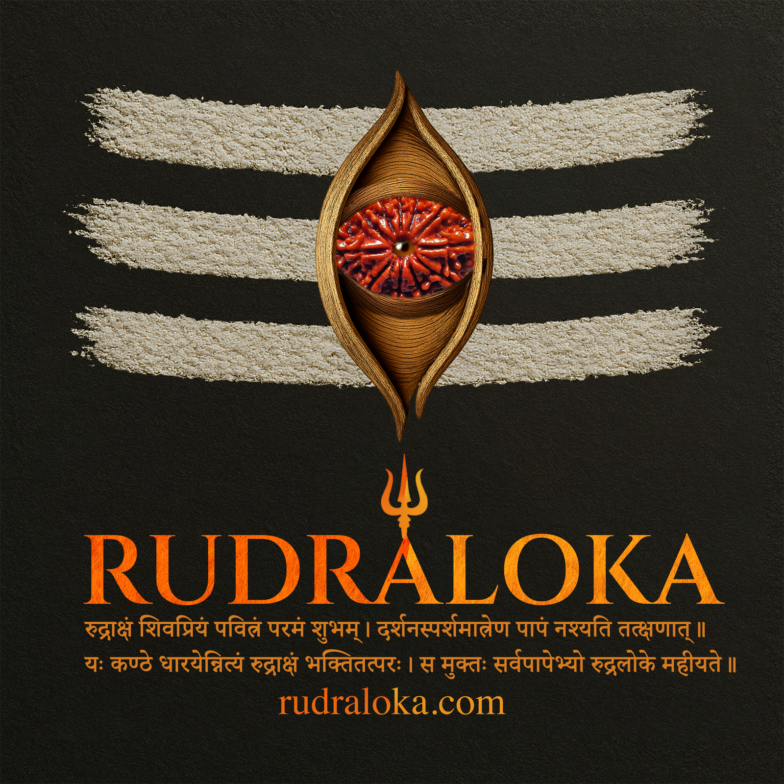 6 Mukhi Rudraksha - Lord Kartikeya product image